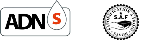 Logo ADNS et SAF